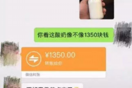 三河为什么选择专业追讨公司来处理您的债务纠纷？